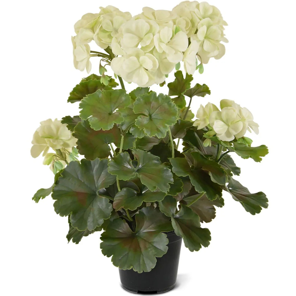 1.5 Ft Artificial Geranium PL plant 38cm cream UV proof – lifelike tropical plant alternative