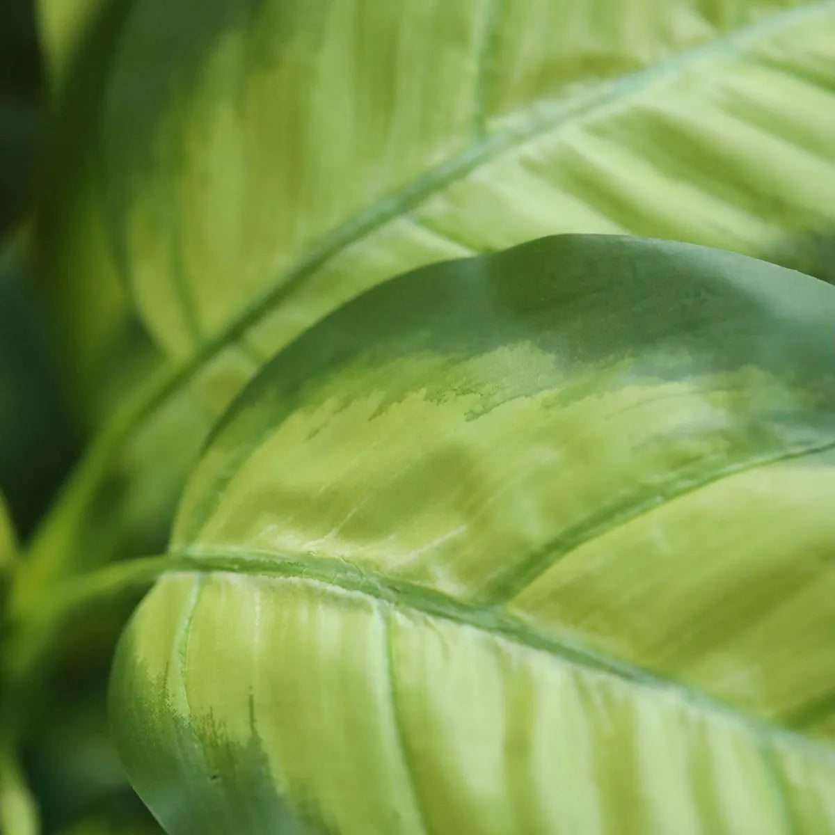 1.5 Ft Artificial Dieffenbachia Plant 55cm – enhances any living space naturally