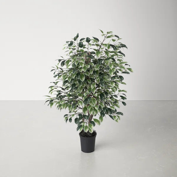 Lifelike 4ft faux ficus tree with green and white-shaded leaves, perfect for indoor and outdoor décor