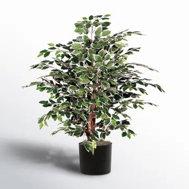 Realistic artificial ficus tree crafted from high-quality fabric and wood, offering a natural look without maintenance