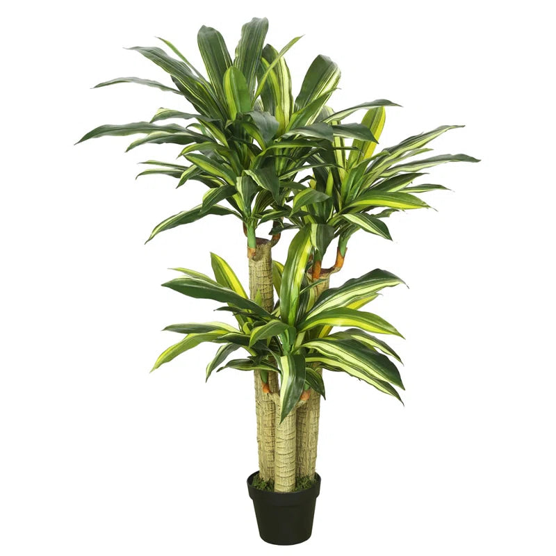 Real-Touch Artificial Dracaena Plant