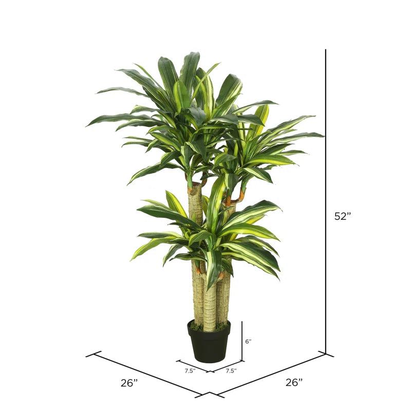 Decorative Faux Dracaena Plant – Elegant and Lush Greenery