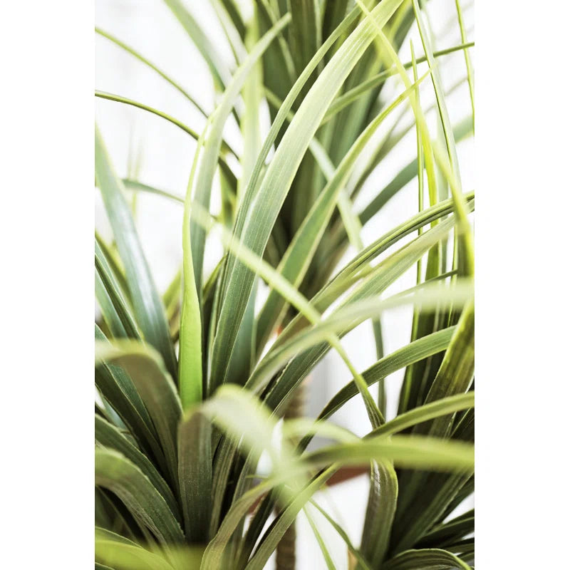 Realistic artificial Dracaena plant without pot