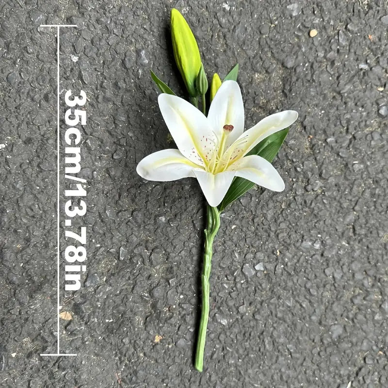 White flower with green leaves on a textured gray surface, accompanied by a measurement scale.