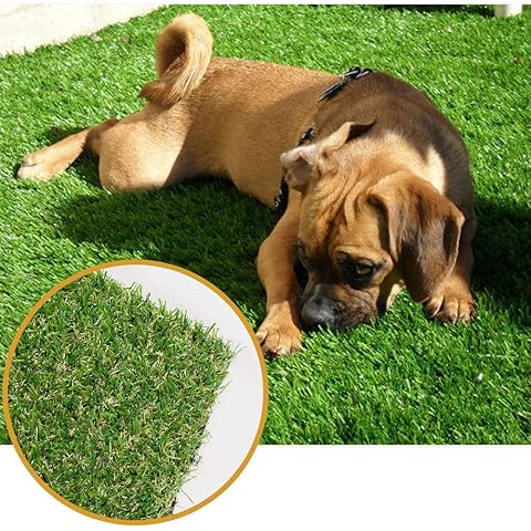 Dog lying on artificial grass with a close-up inset showing the texture.
