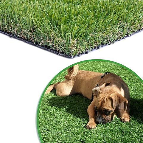 Dog lying on artificial grass with a close-up of the grass texture.