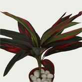 2 Ft Artificial Dracaena Red Leaf Bunch 20 – Faux Green Plant close-up highlighting realistic details