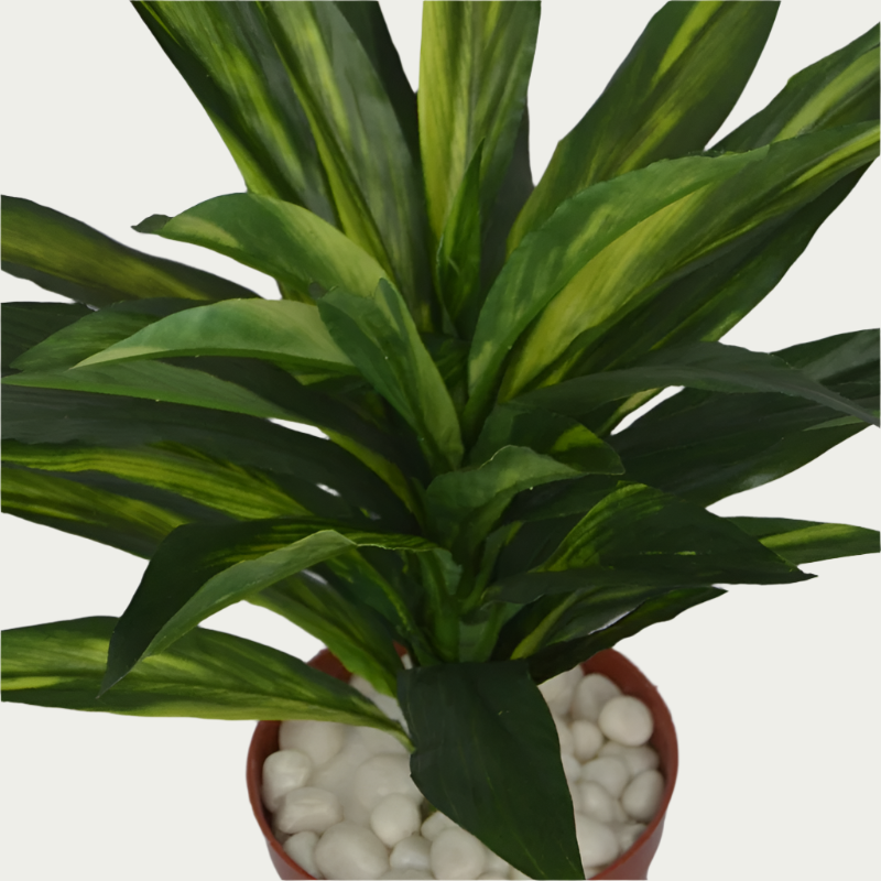 3 Ft Dracaena Bush Elegant Synthetic Home Plant – Realistic Touch for Modern Interiors – Shop Luxiplant arranged aesthetically, adding a tropical flair to any room.