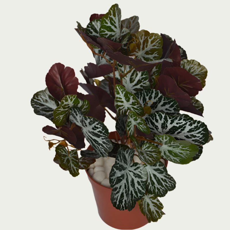 1 Ft Artificial Begonia Bush – Faux Green Plant placed in a stylish planter