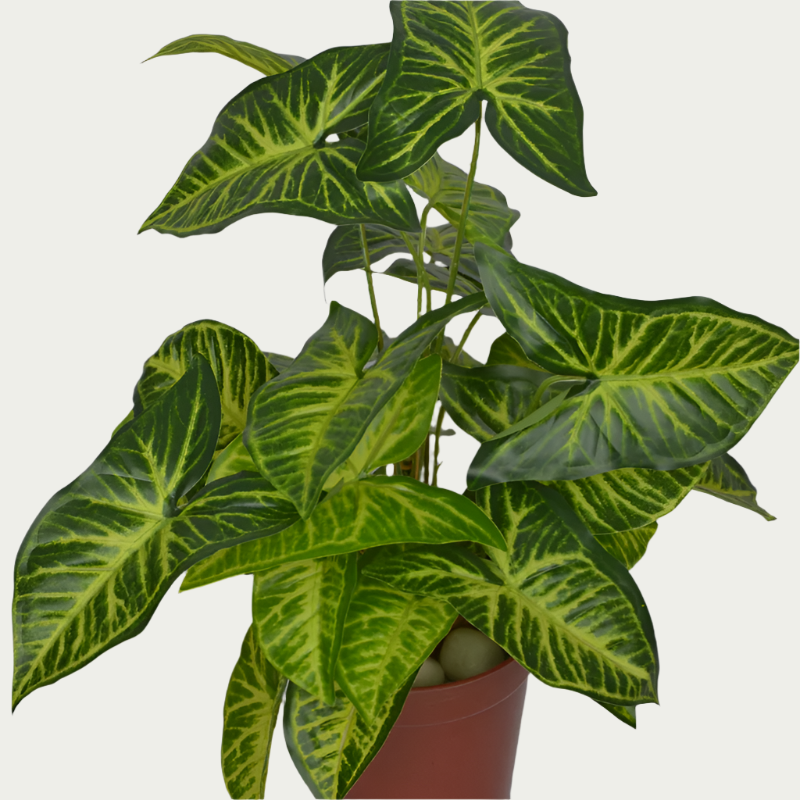 2 Ft Artificial Caladium Yellow Bush – Faux Green Plant placed in a stylish planter