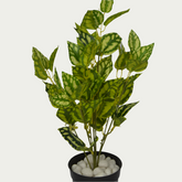 2 Ft Watermelon Bush Premium Decorative Green Bush – Vibrant Decorative Plant for Home or Office – Shop Luxiplant on display with vibrant artificial foliage and lifelike features.