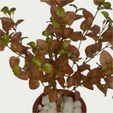 1 Ft Artificial Carpinteria Bush 5 – Faux Green Plant set on a living room table