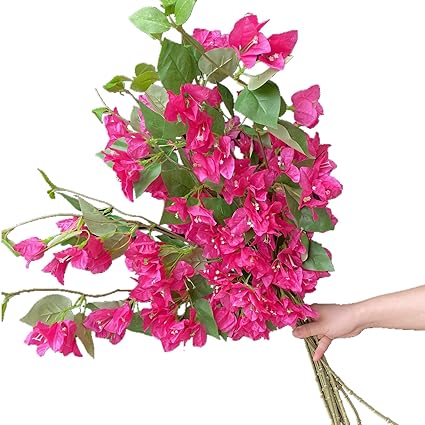 Bouquet of pink flowers held by a hand on a white background