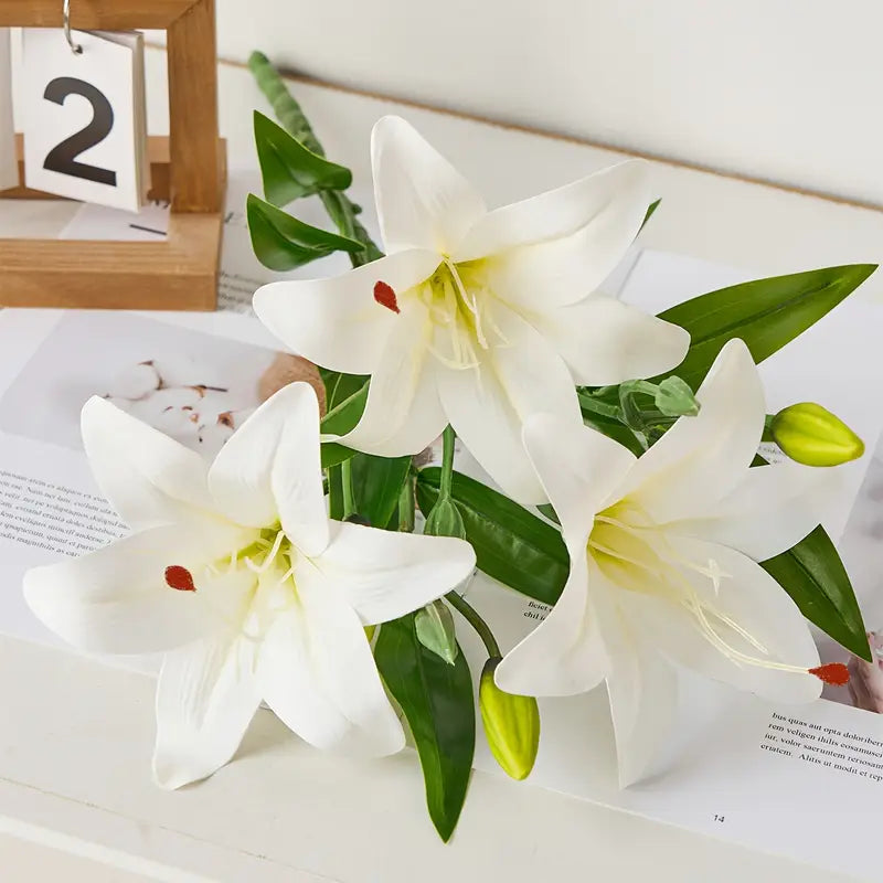 White lilies with green leaves on a magazine page