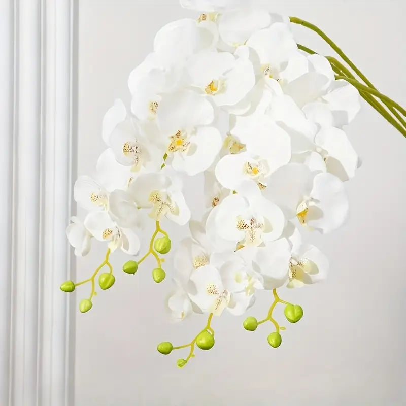 White orchid flowers with green stems on a light gray background