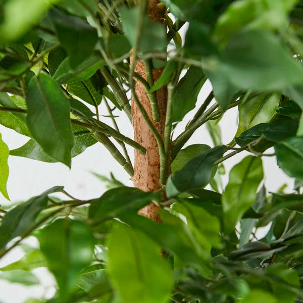 Customizable artificial ficus tree with soft-touch leaves and sturdy wooden trunk.