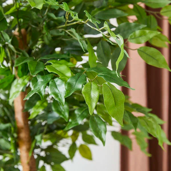 5ft artificial ficus tree that blends seamlessly into modern and classic interiors.