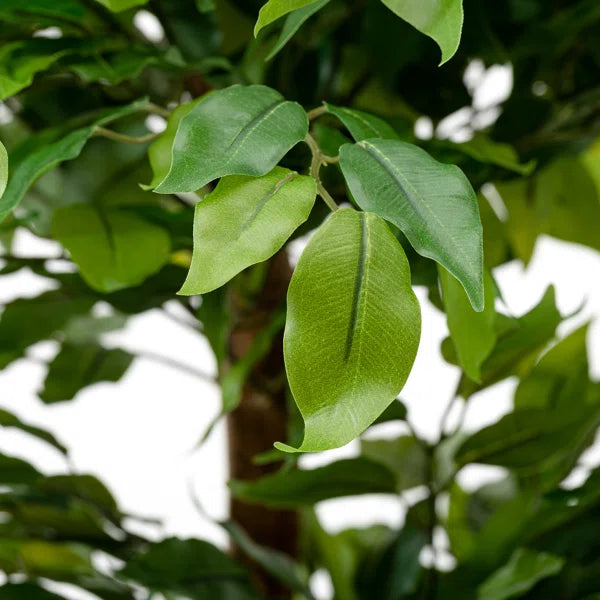 5ft faux ficus tree designed for modern homes, offices, and commercial spaces.