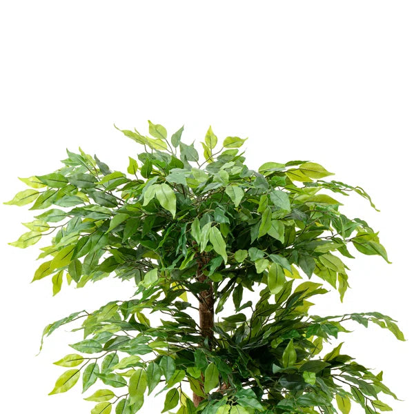 Elegant faux ficus tree with dense green leaves for a natural, refreshing look.