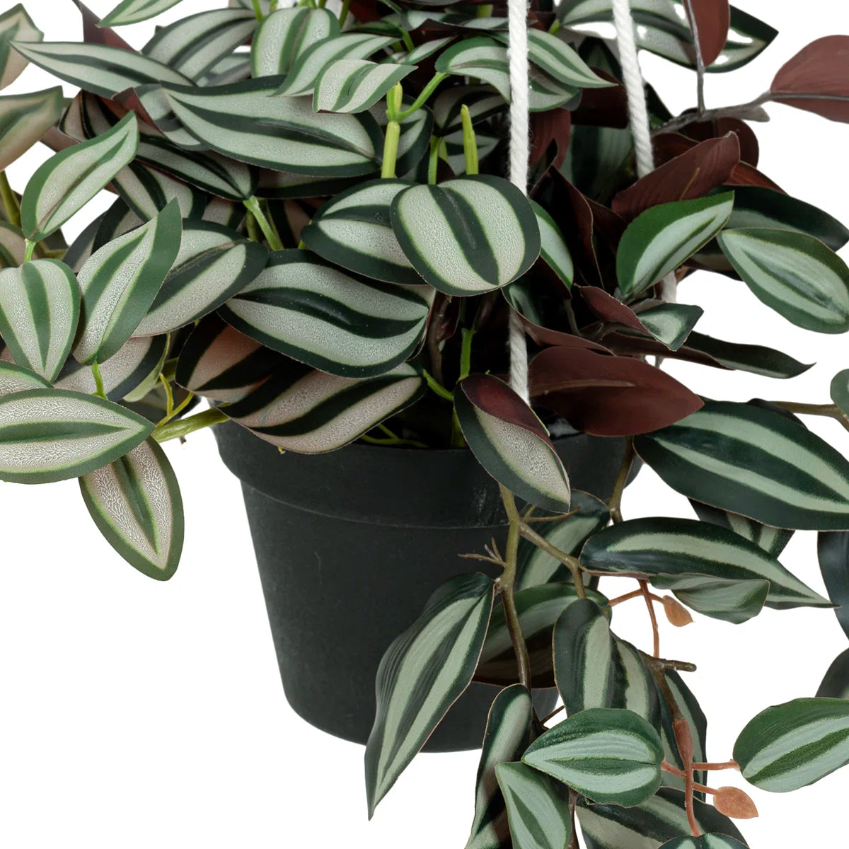 2 Ft Artificial Ruscus Leaf Hanging Plant – Lifelike Trailing Vines with Two-Tone Foliage for Indoor Wall, Shelf & Balcony