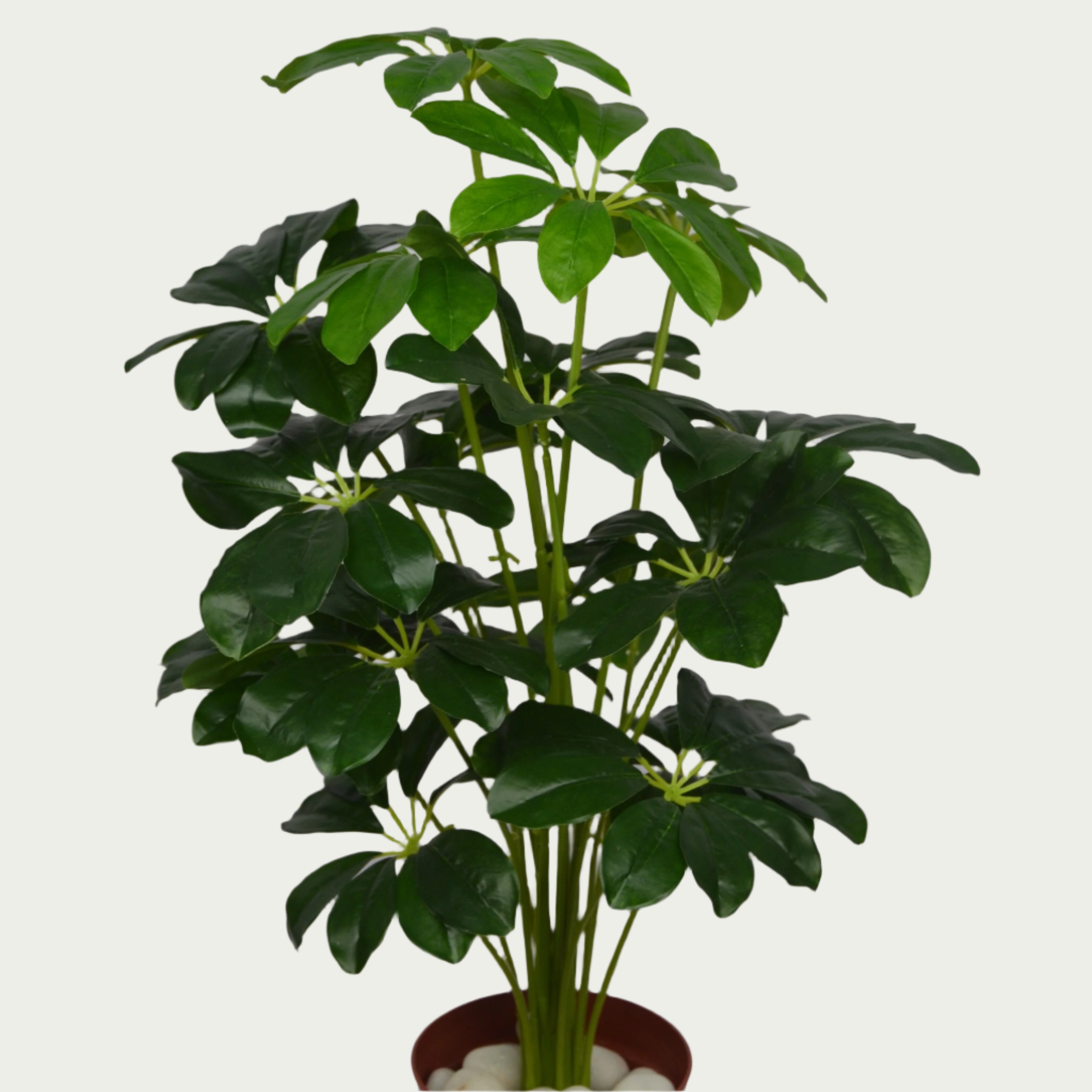Eye-catching product image of 2 Ft Baby Shikka Shefflora Plant Realistic Nature-Inspired Shrub – Chic Artificial Plant to Elevate Any Space – Shop Luxiplant, ideal for indoor settings.