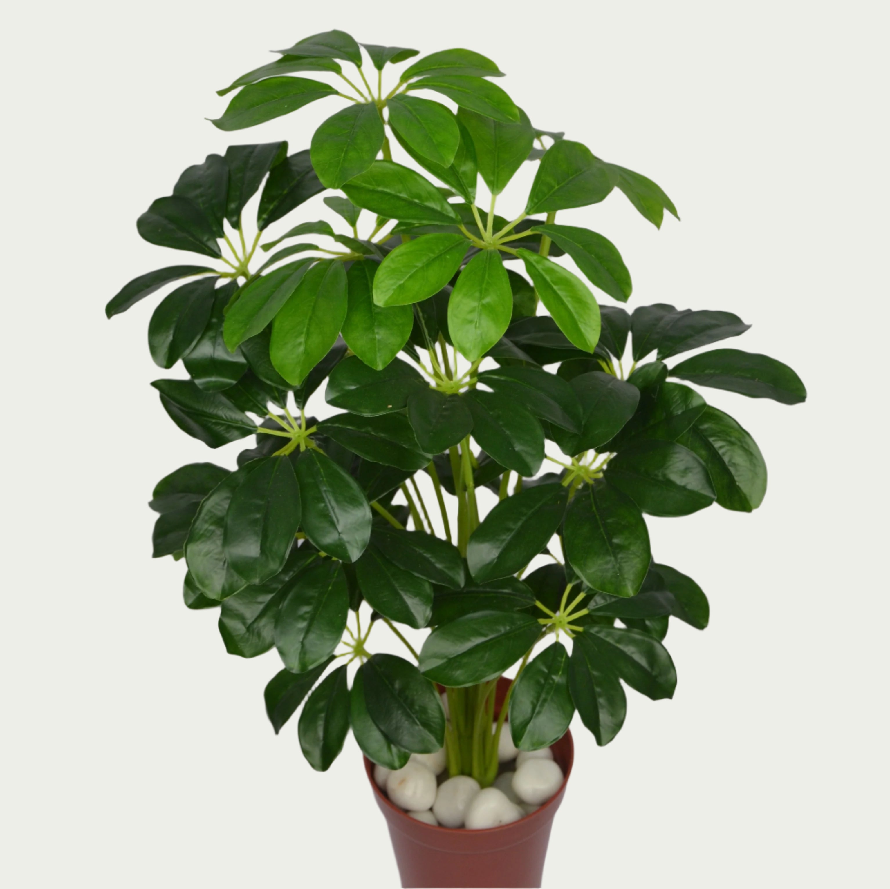 2 Ft Baby Shikka Shefflora Plant Realistic Nature-Inspired Shrub – Chic Artificial Plant to Elevate Any Space – Shop Luxiplant arranged aesthetically, adding a tropical flair to any room.