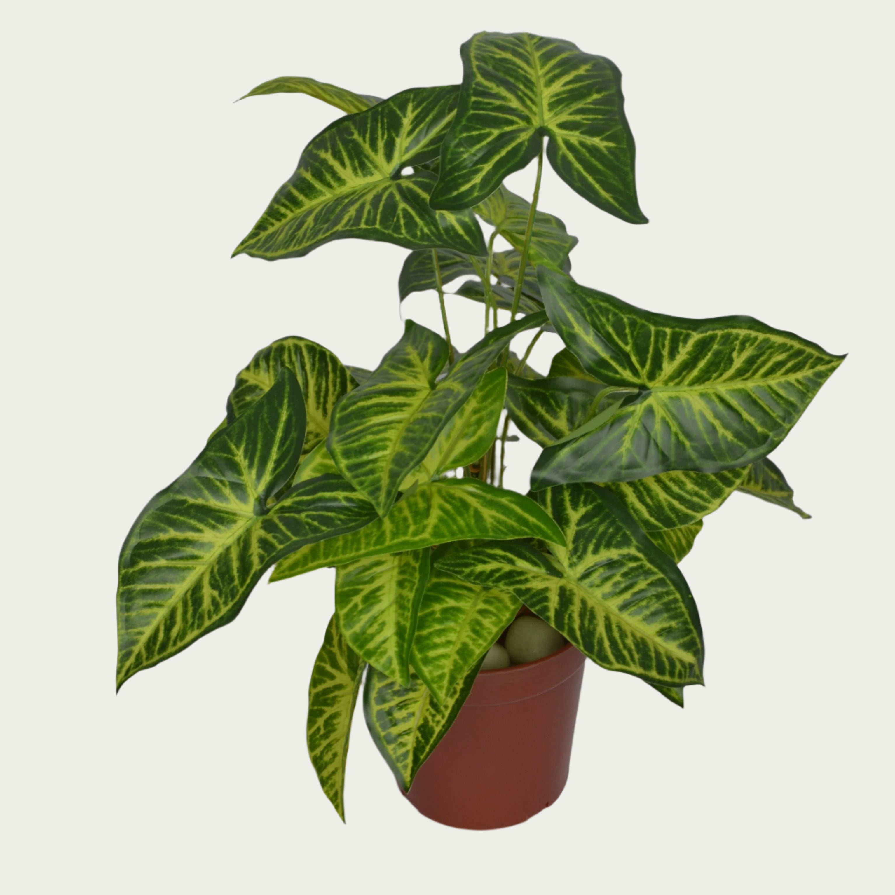 2 Ft Artificial Caladium Yellow Bush – Faux Green Plant set on a living room table