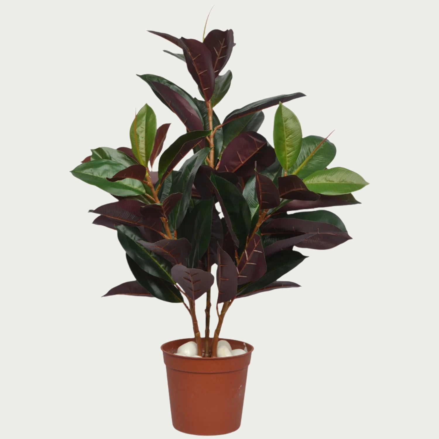 Detailed view of 2 Ft Rubber Fig Bush Contemporary Lush Green Accent – Vibrant Decorative Plant for Home or Office – Shop Luxiplant showing realistic textures and colors.