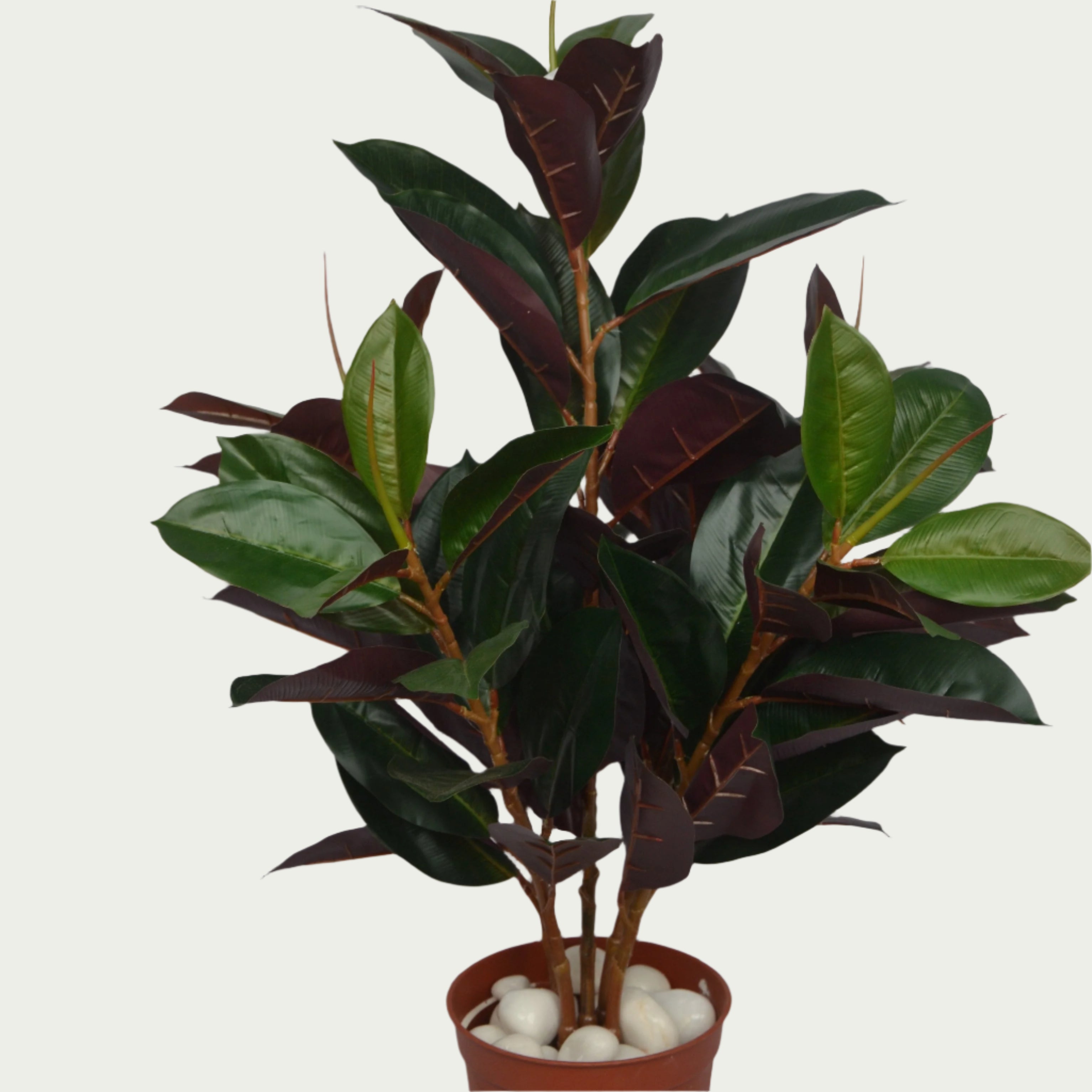 2 Ft Rubber Fig Bush Contemporary Lush Green Accent – Vibrant Decorative Plant for Home or Office – Shop Luxiplant on display with vibrant artificial foliage and lifelike features.