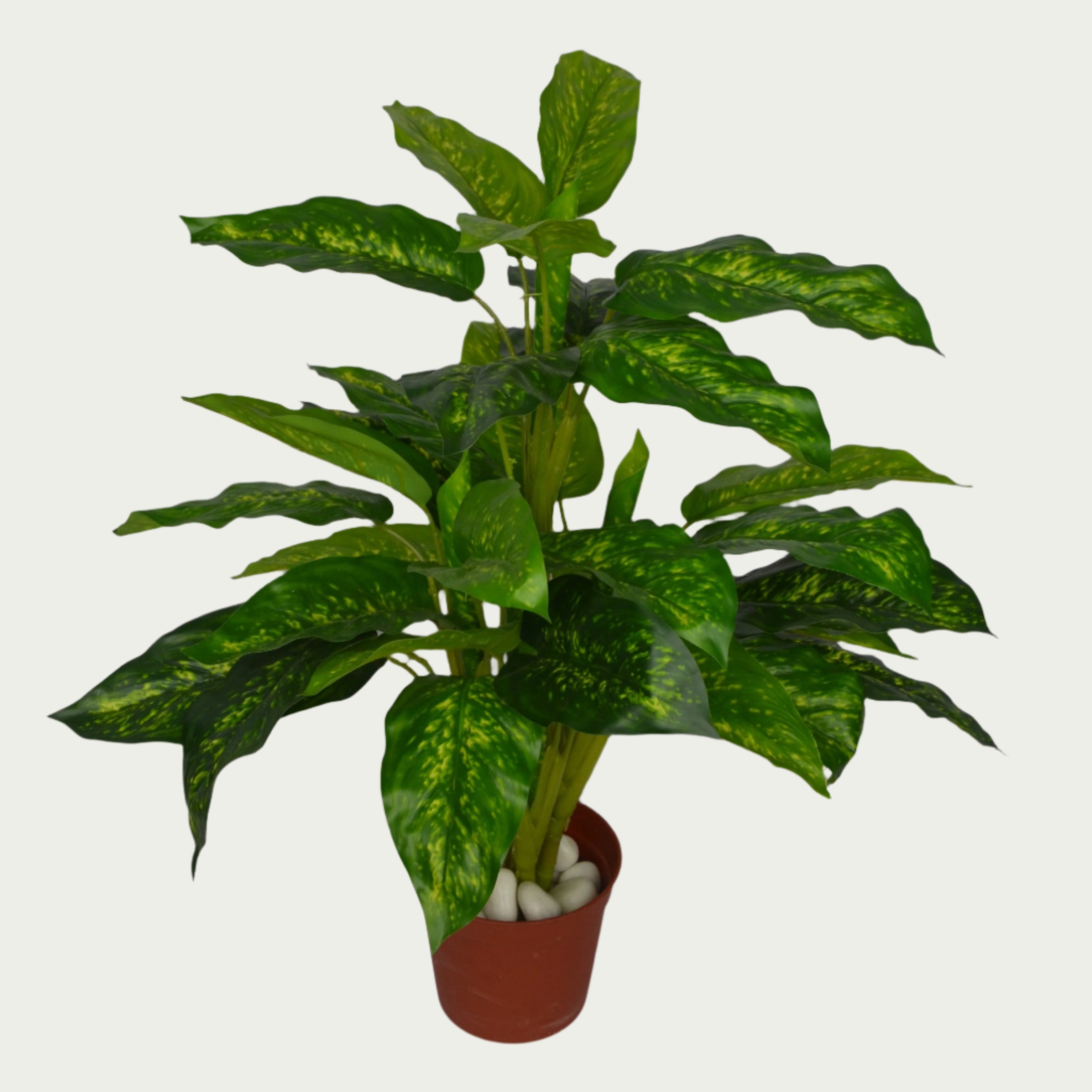 2 Ft Artificial Green Dieffenbachia – Faux Green Plant set on a living room table