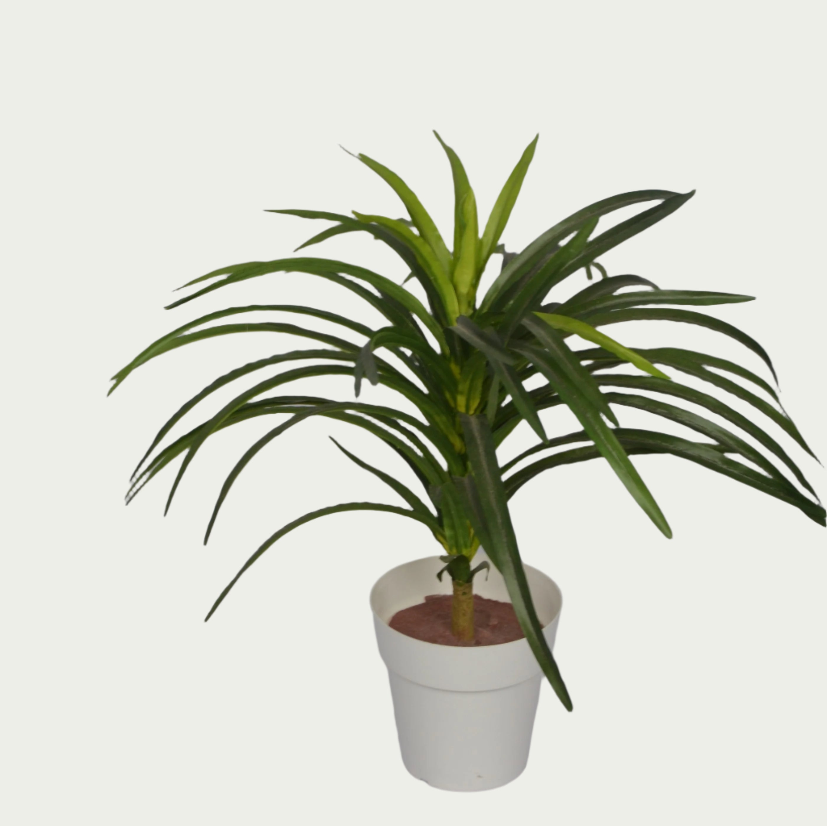 1 Ft Artificial Dracaena 12 – Faux Green Plant as part of a decorative indoor arrangement