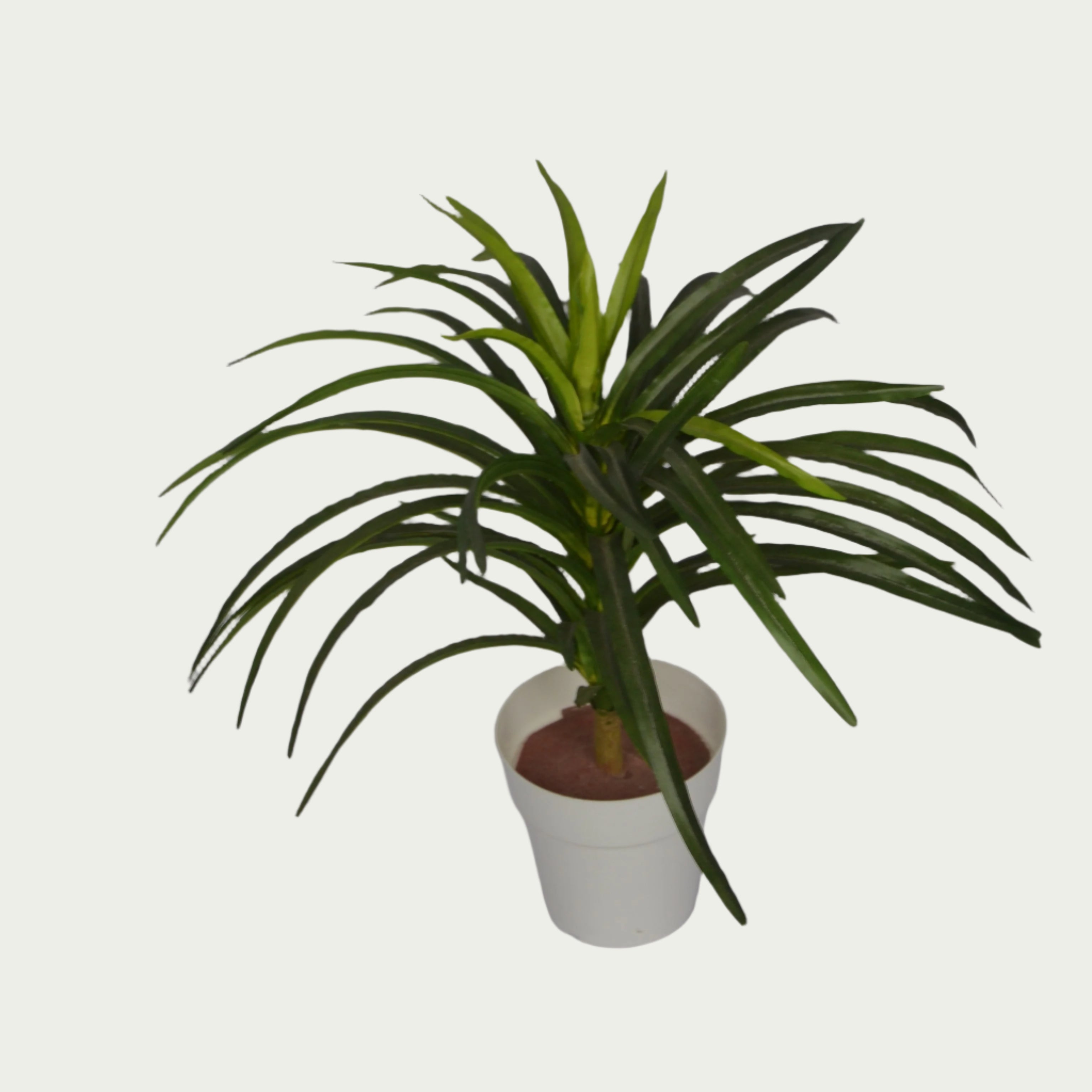 1 Ft Artificial Dracaena 12 – Faux Green Plant placed in a stylish planter