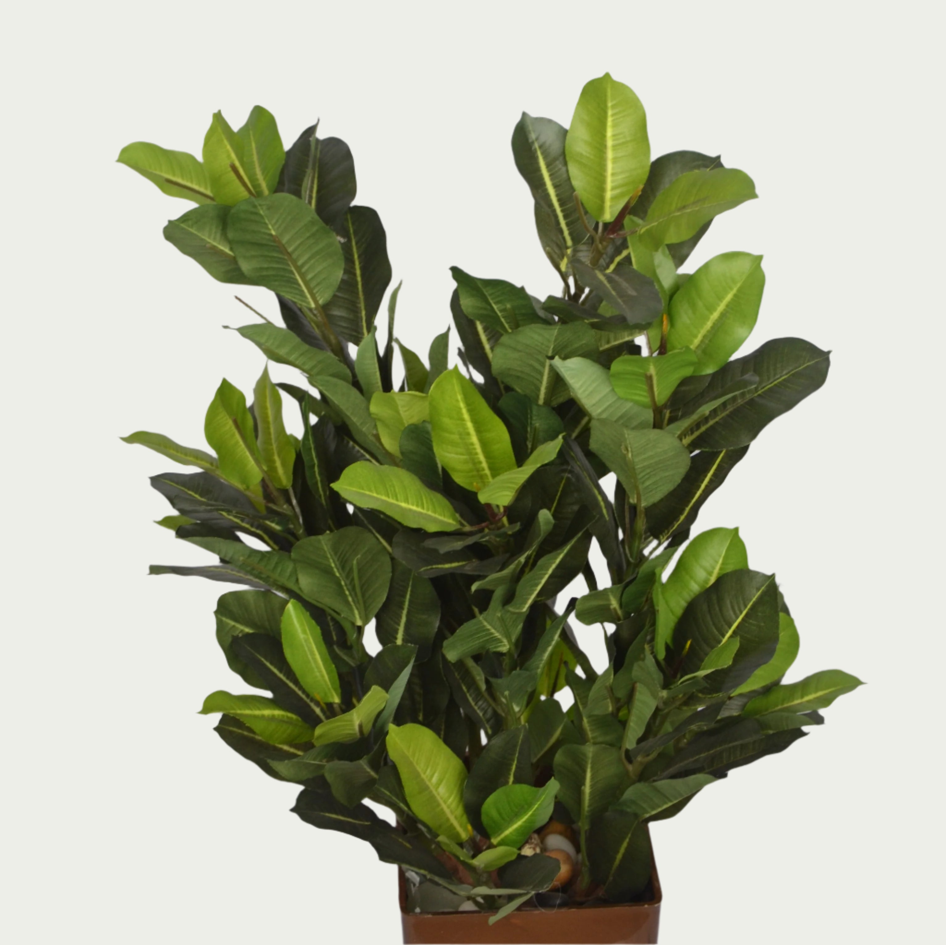 2 Ft Artificial Green Croton Bush 2975 – Faux Green Plant set on a living room table