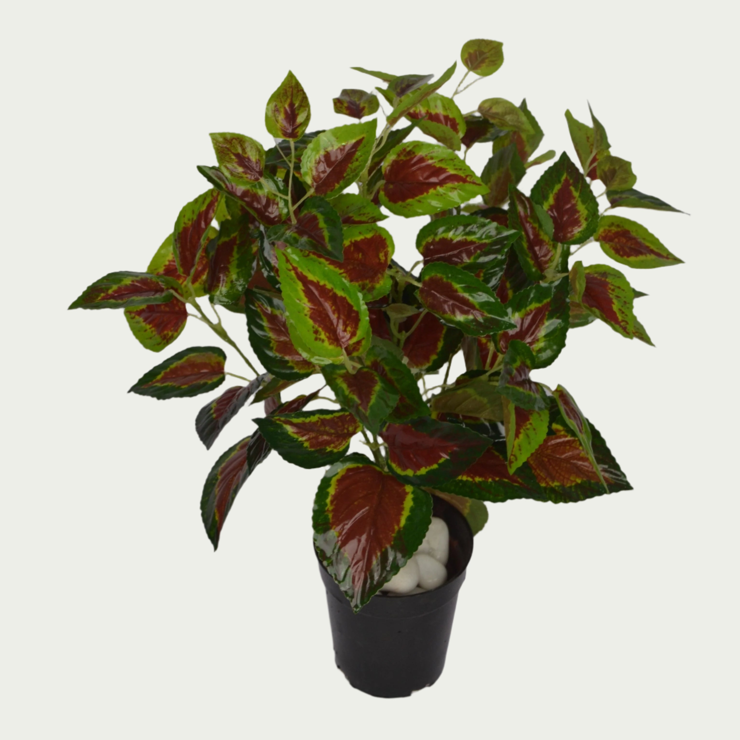 2 Ft Artificial Coleas Mini Bush 20 – Faux Green Plant as part of a decorative indoor arrangement