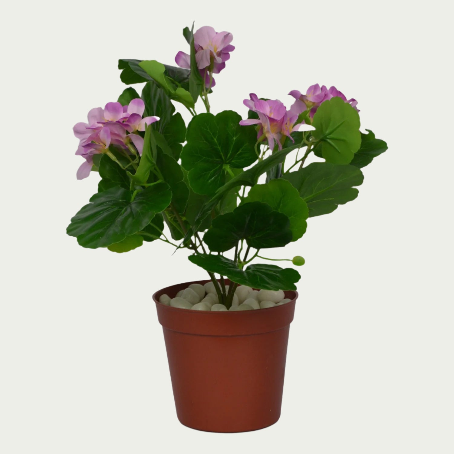 Decorative shot highlighting the unique design of 1 Ft Geranium Flower Bush Indoor Tropical Accent Plant – Maintenance-Free Natural Look Accent – Shop Luxiplant.