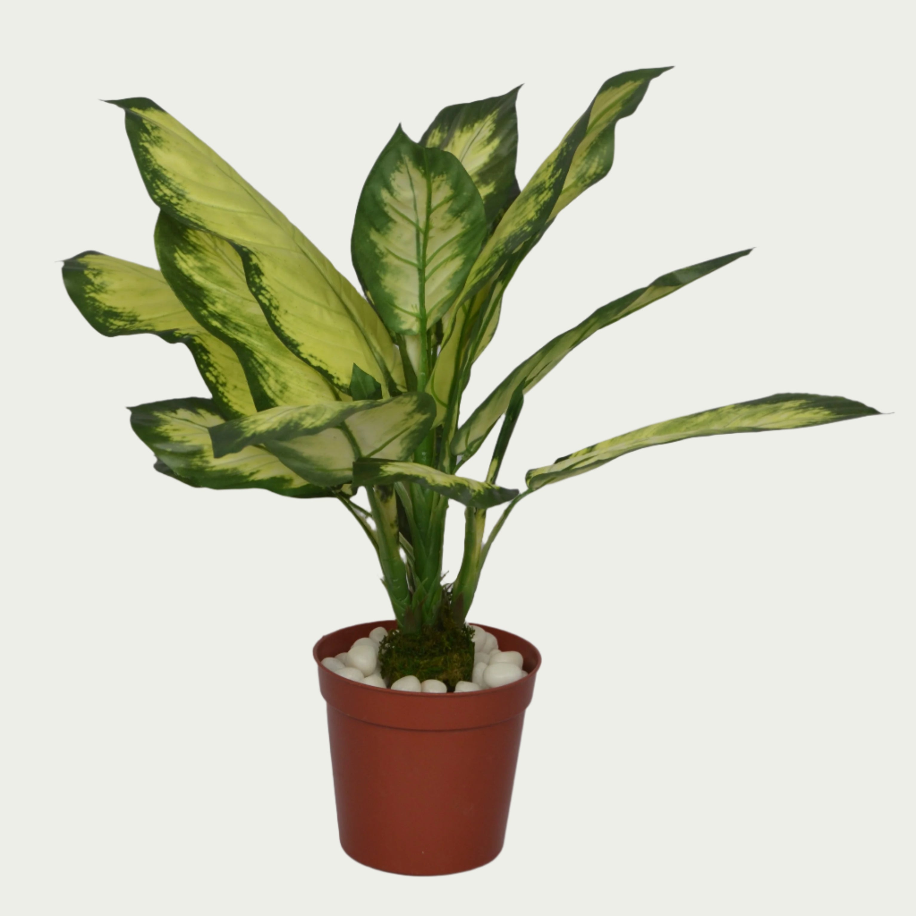 2 Ft Artificial Dieffenbachia Bush 18 – Faux Green Plant close-up highlighting realistic details