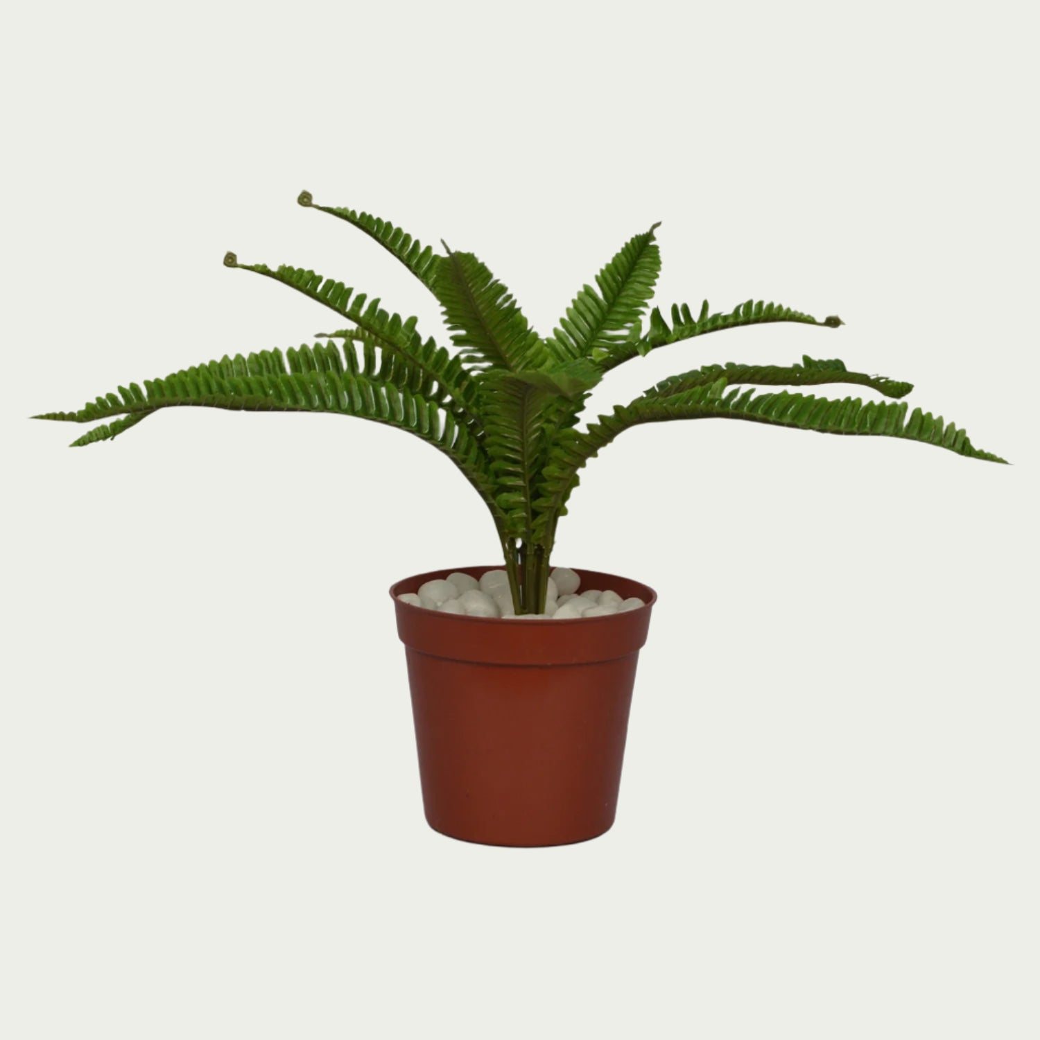 Scene featuring the 1 Ft Small Fern Bush Low-Maintenance Indoor Greenery – Maintenance-Free Natural Look Accent – Shop Luxiplant, styled with complementary decor items.