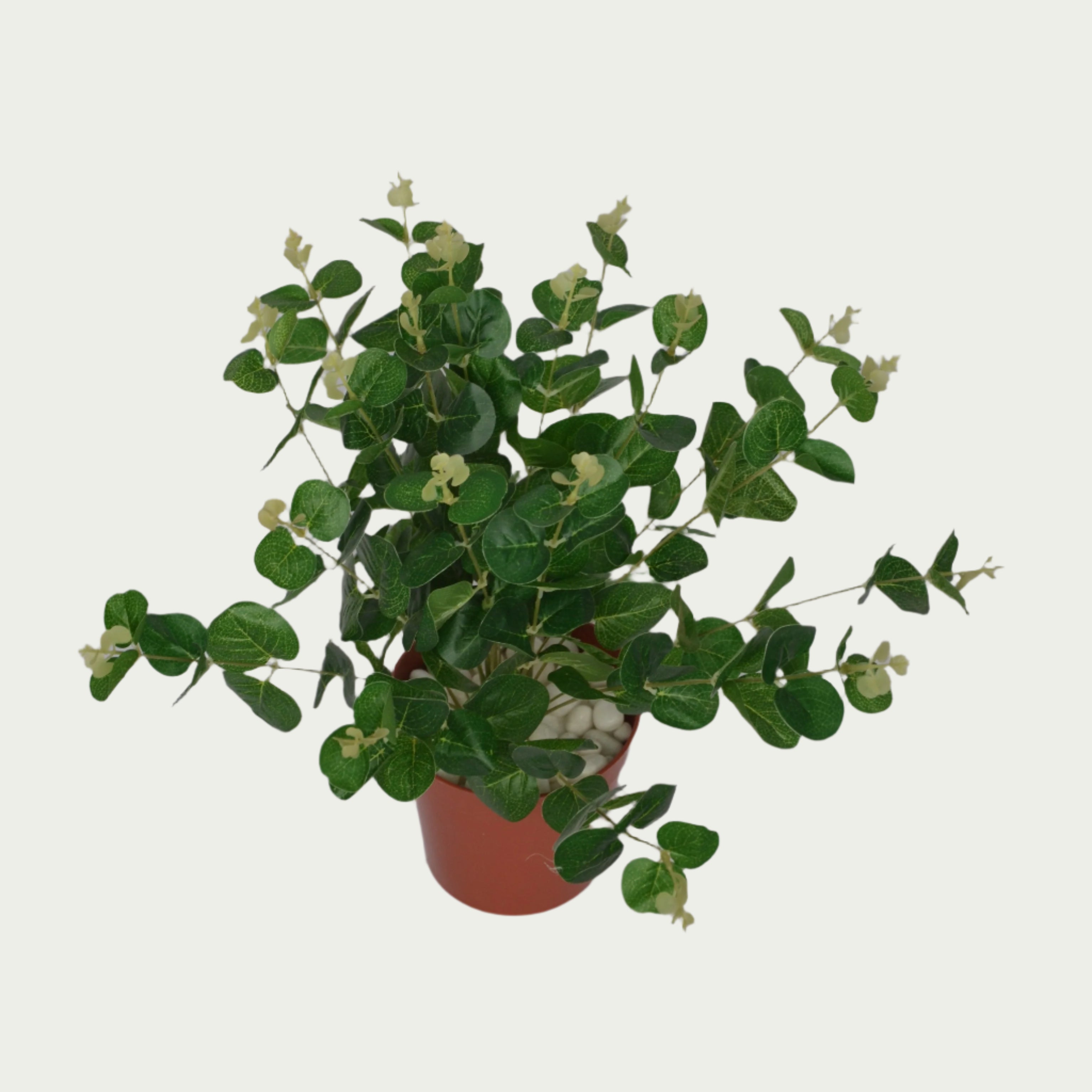 1 Ft Artificial Green Carpinteria Bush 2 – Faux Green Plant placed in a stylish planter