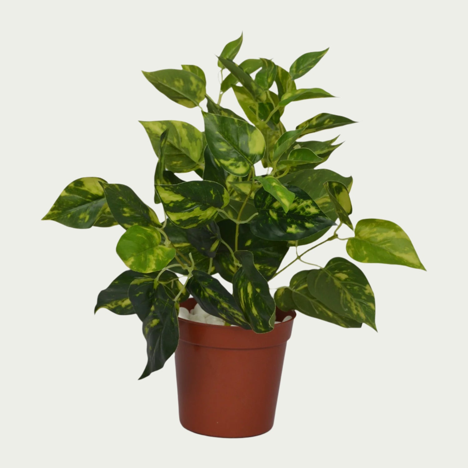 Eye-catching product image of 1 Ft Money Plant Bush Evergreen Artificial Botanical – Elegant Faux Greenery for Any Setting – Shop Luxiplant, ideal for indoor settings.