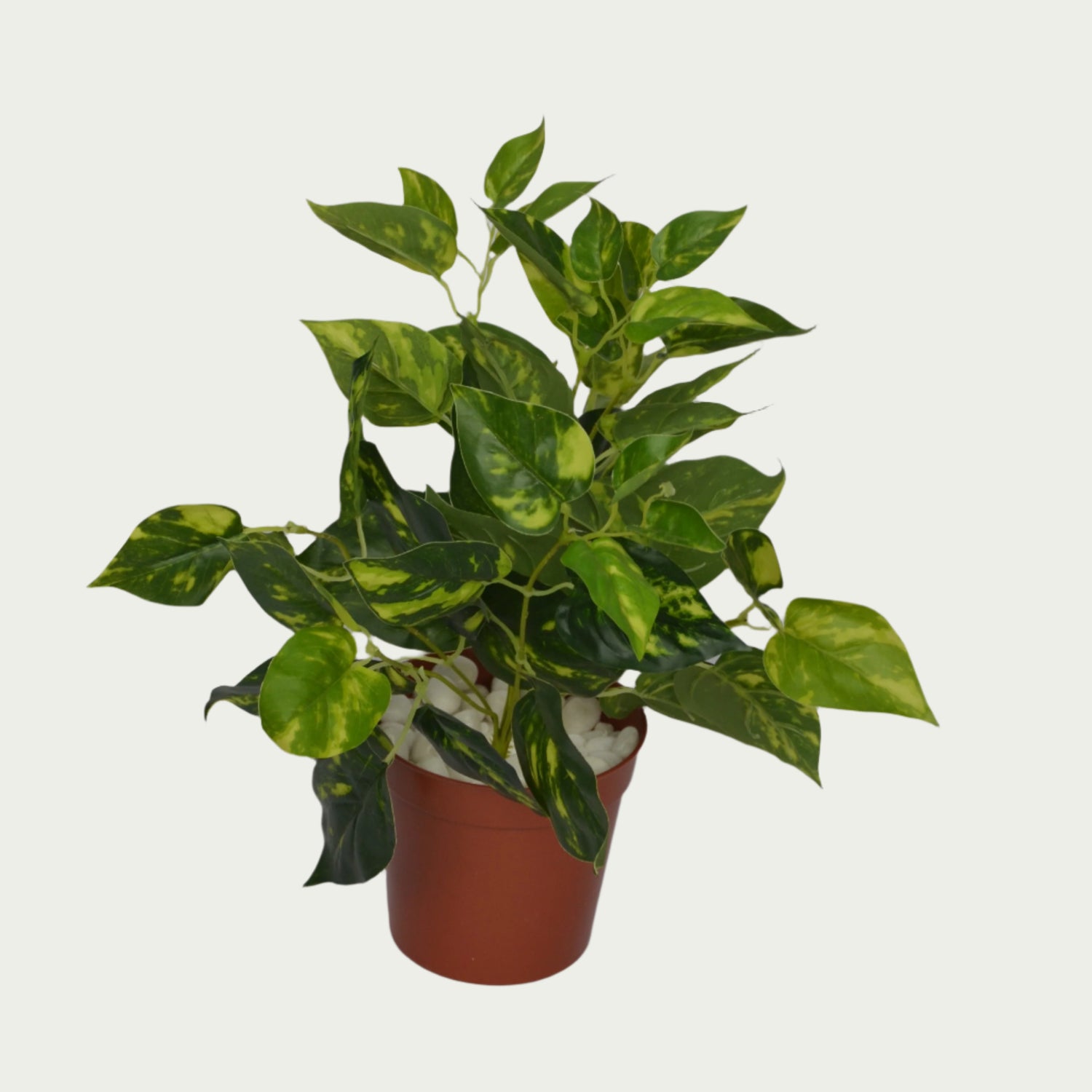 Zoomed-in look at the 1 Ft Money Plant Bush Evergreen Artificial Botanical – Elegant Faux Greenery for Any Setting – Shop Luxiplant, showcasing detailed craftsmanship.