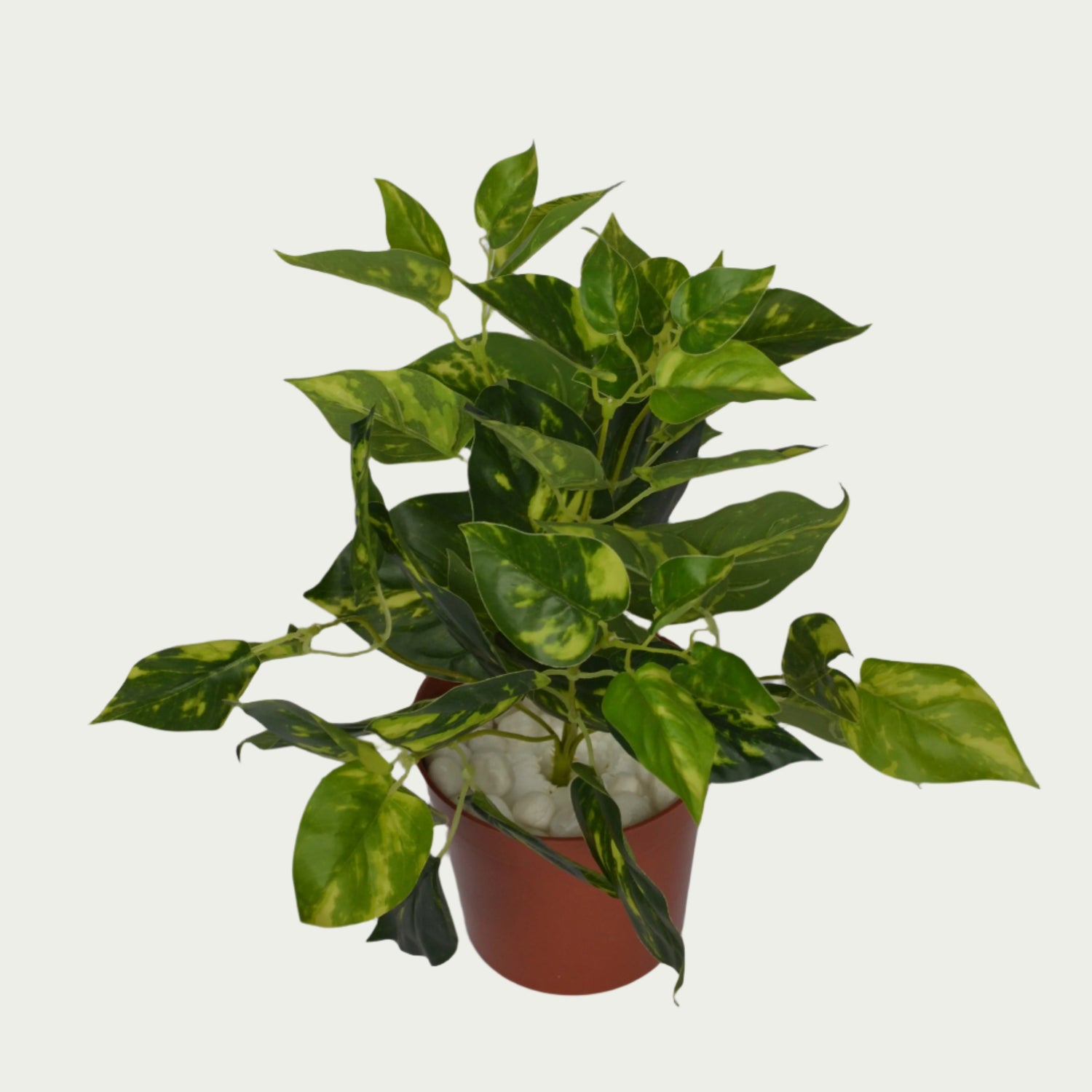 Scene featuring the 1 Ft Money Plant Bush Evergreen Artificial Botanical – Elegant Faux Greenery for Any Setting – Shop Luxiplant, styled with complementary decor items.