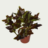 1 Ft Artificial Mini Bush 7 – Faux Green Plant close-up highlighting realistic details