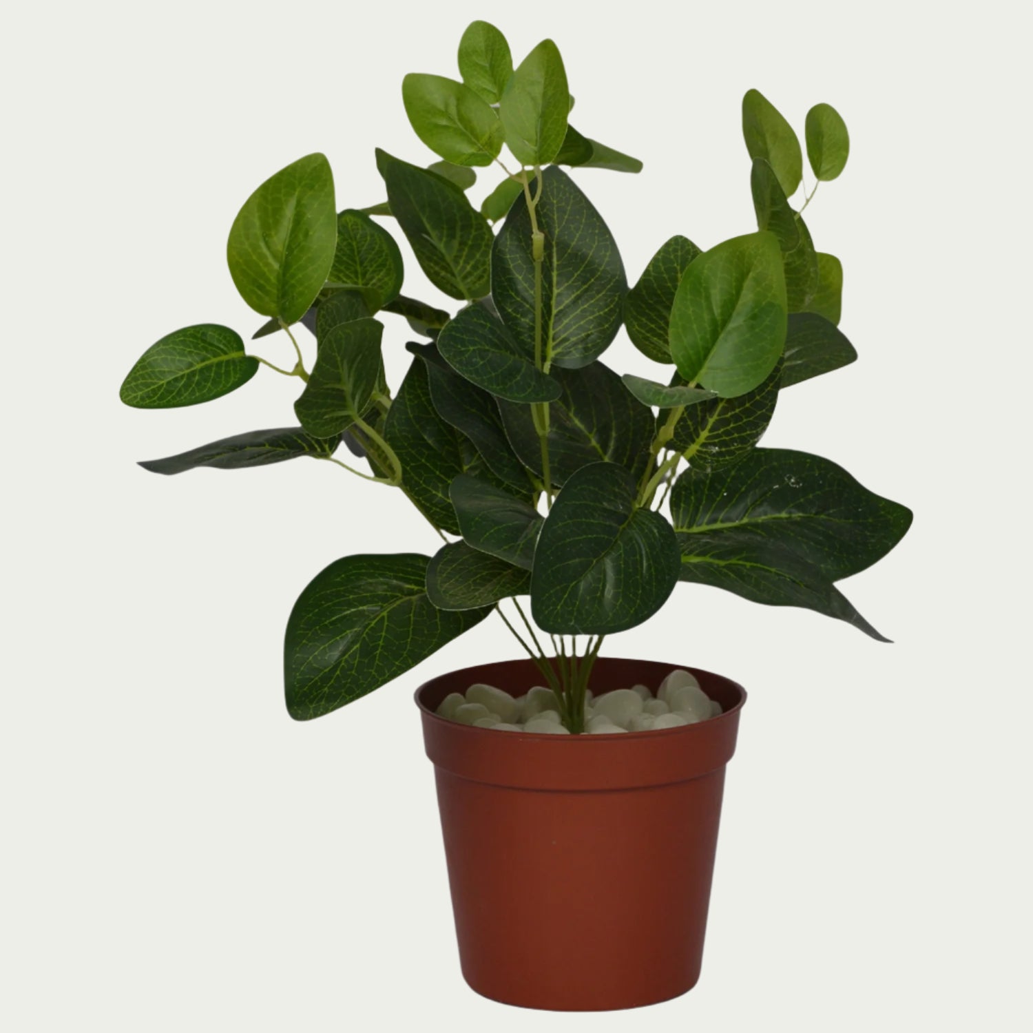 Eye-catching product image of 1 Ft Green Fittonia Bush Vibrant Faux Desk Foliage – Vibrant Decorative Plant for Home or Office – Shop Luxiplant, ideal for indoor settings.