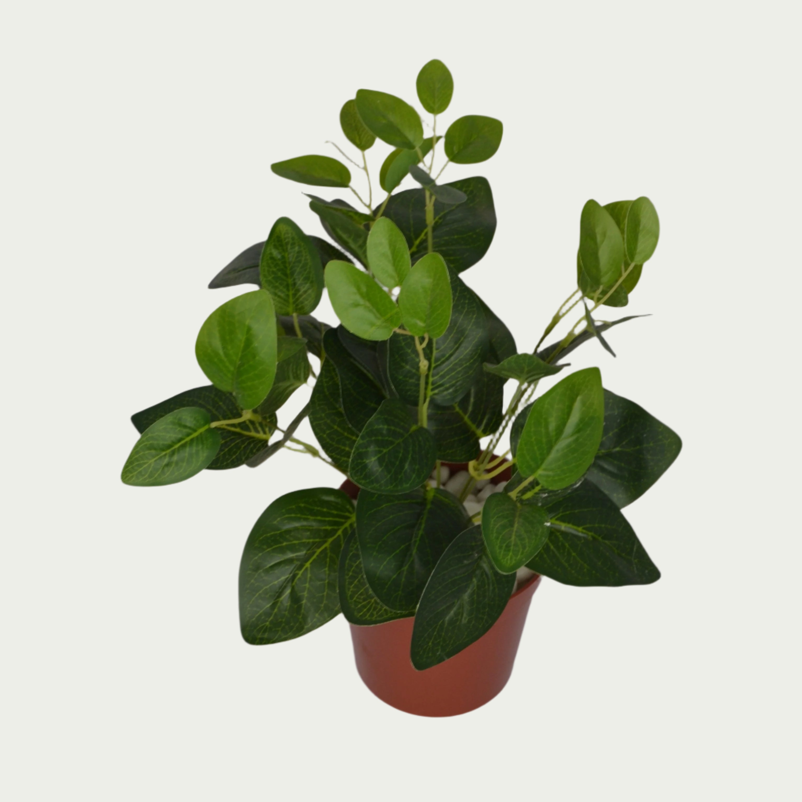 Zoomed-in look at the 1 Ft Green Fittonia Bush Vibrant Faux Desk Foliage – Vibrant Decorative Plant for Home or Office – Shop Luxiplant, showcasing detailed craftsmanship.