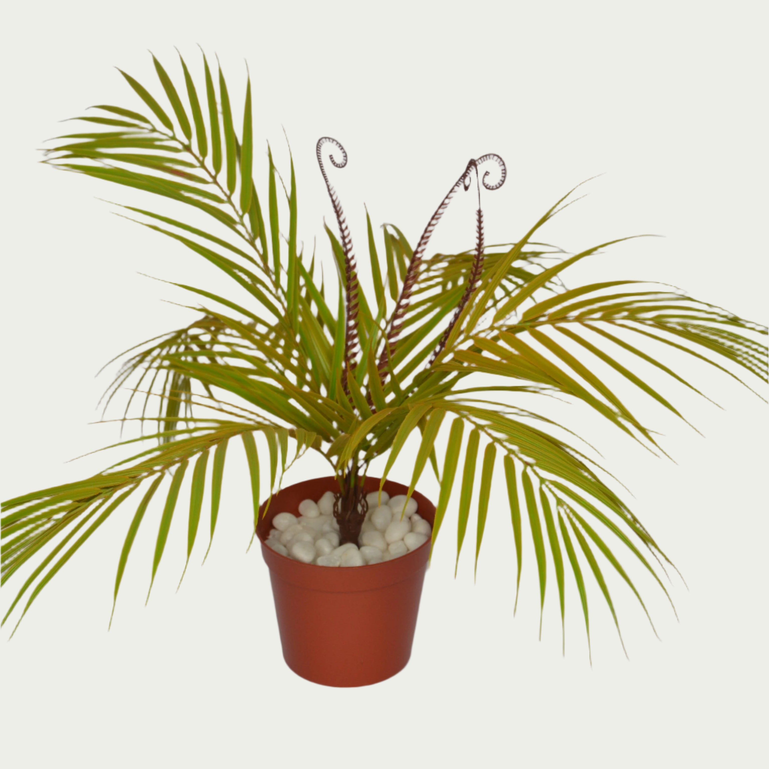 Eye-catching product image of 1 Ft Palm Fern Bush Evergreen Artificial Botanical – Maintenance-Free Natural Look Accent – Shop Luxiplant, ideal for indoor settings.