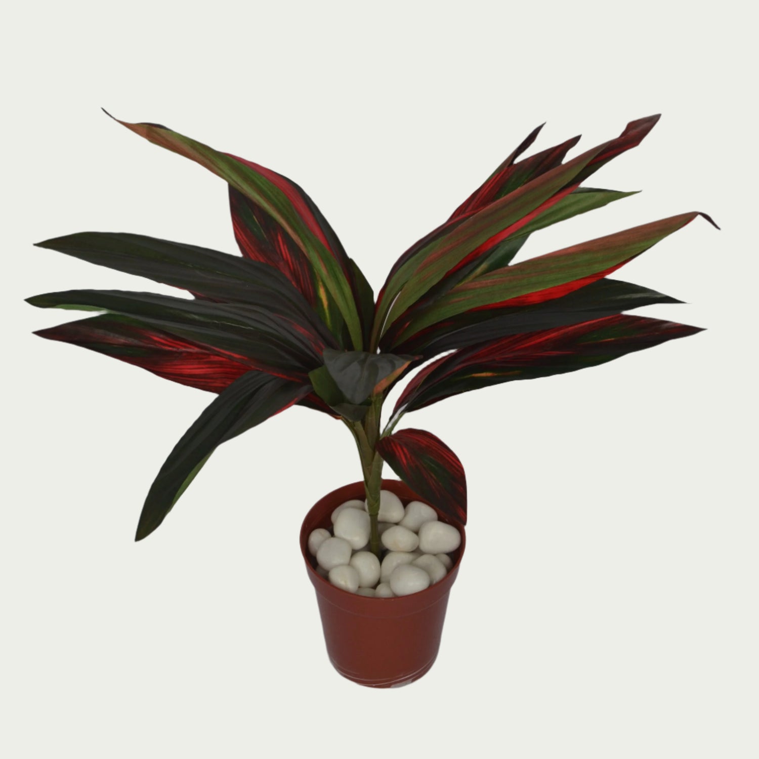 2 Ft Artificial Dracaena Red Leaf Bunch 20 – Faux Green Plant set on a living room table