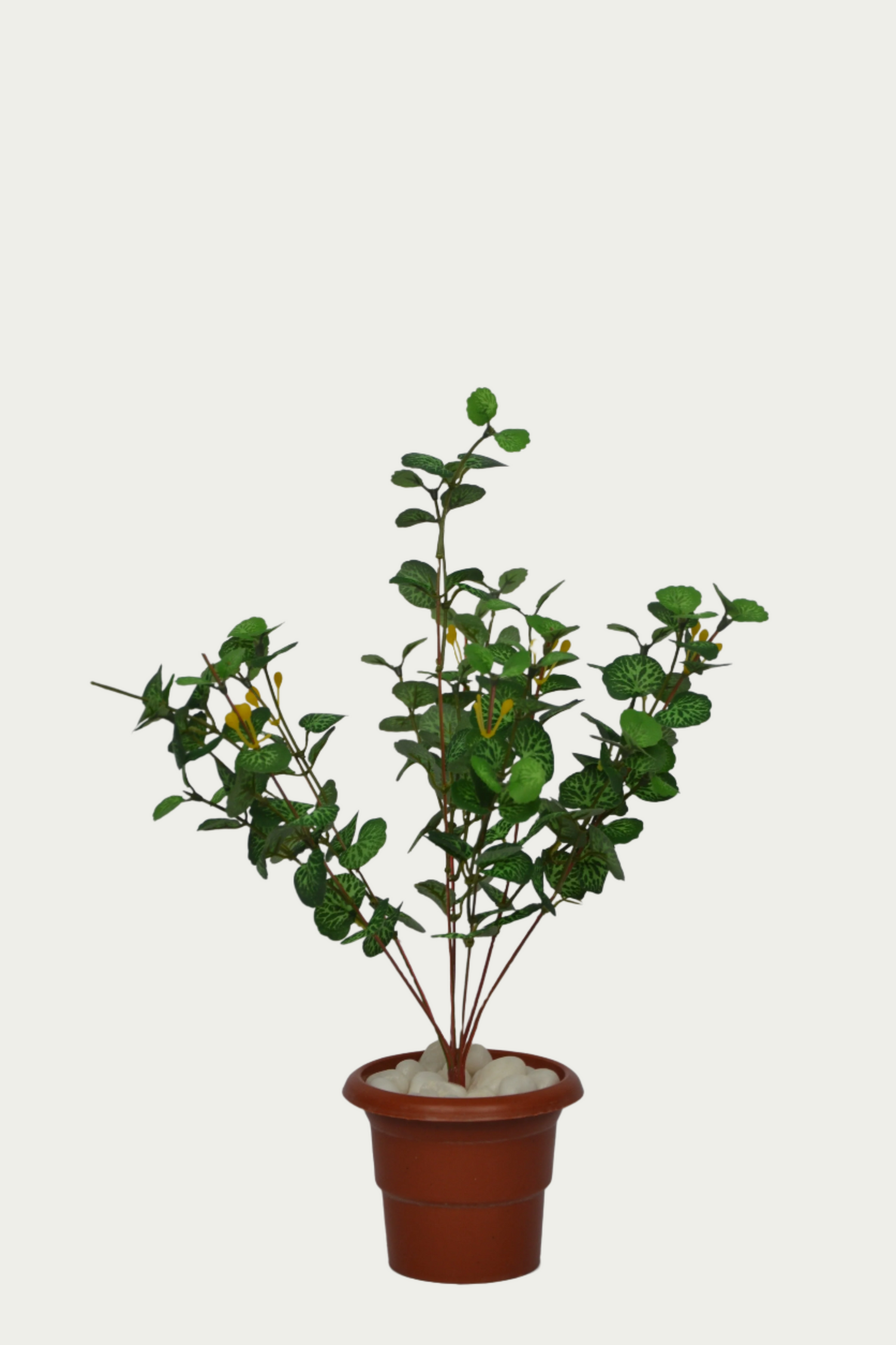 Indoor ambiance created with 1 Ft Geranium Green Low-Maintenance Indoor Greenery – Chic Artificial Plant to Elevate Any Space – Shop Luxiplant – elegant and lush.
