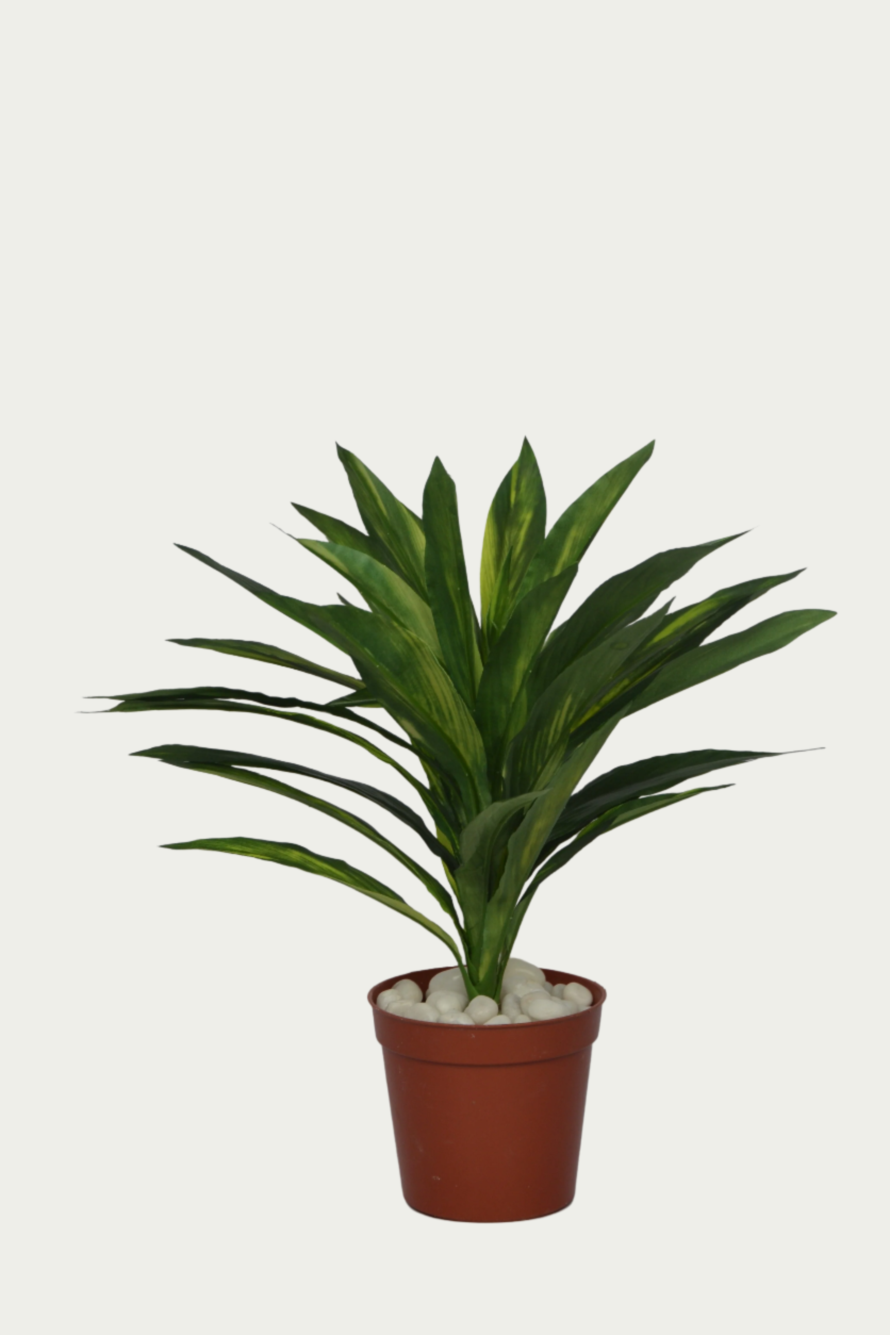 Zoomed-in look at the 3 Ft Dracaena Bush Elegant Synthetic Home Plant – Realistic Touch for Modern Interiors – Shop Luxiplant, showcasing detailed craftsmanship.