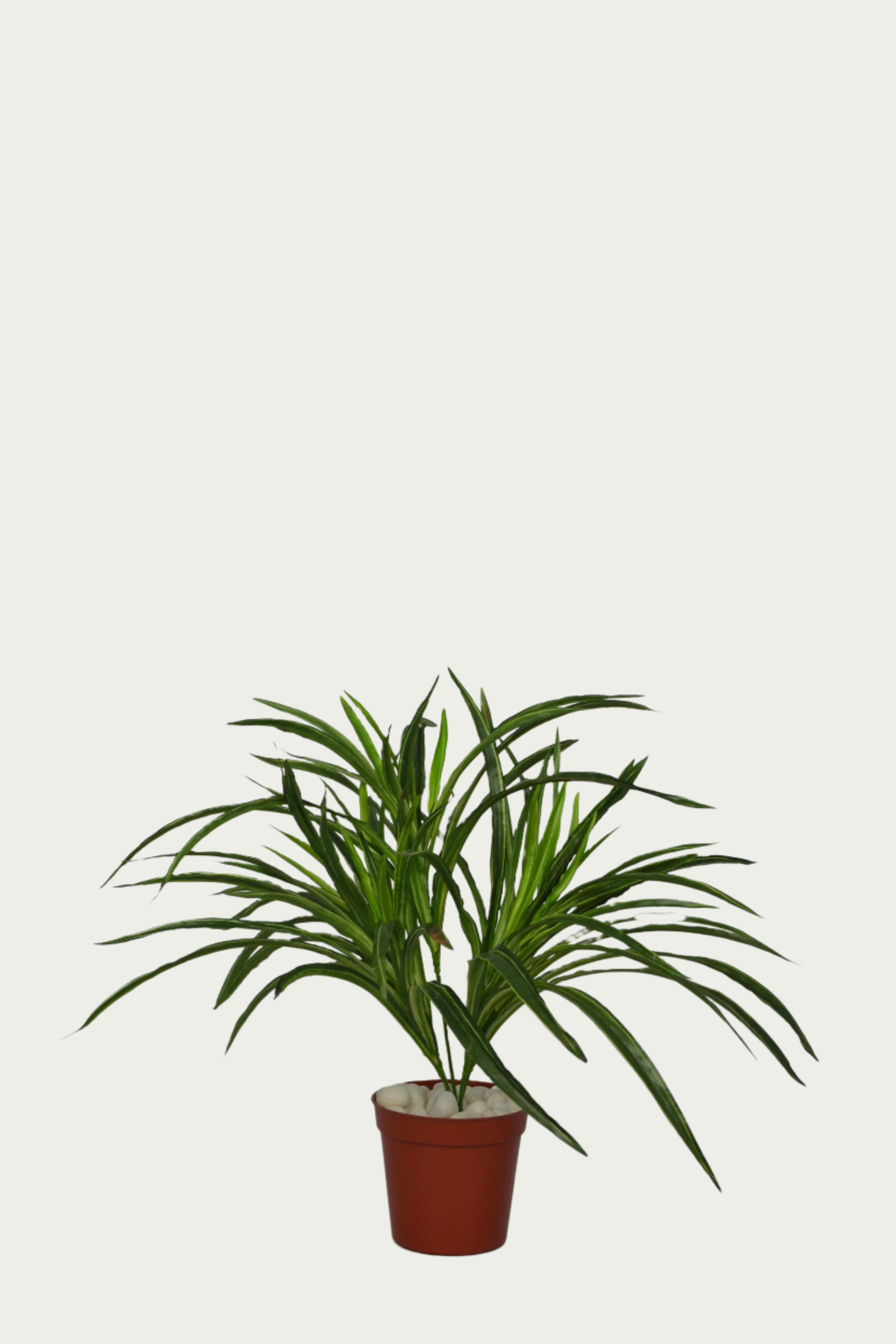 Detailed view of 1 Ft Dracaena Bush Stylish Faux Patio Centerpiece – Elegant Faux Greenery for Any Setting – Shop Luxiplant showing realistic textures and colors.
