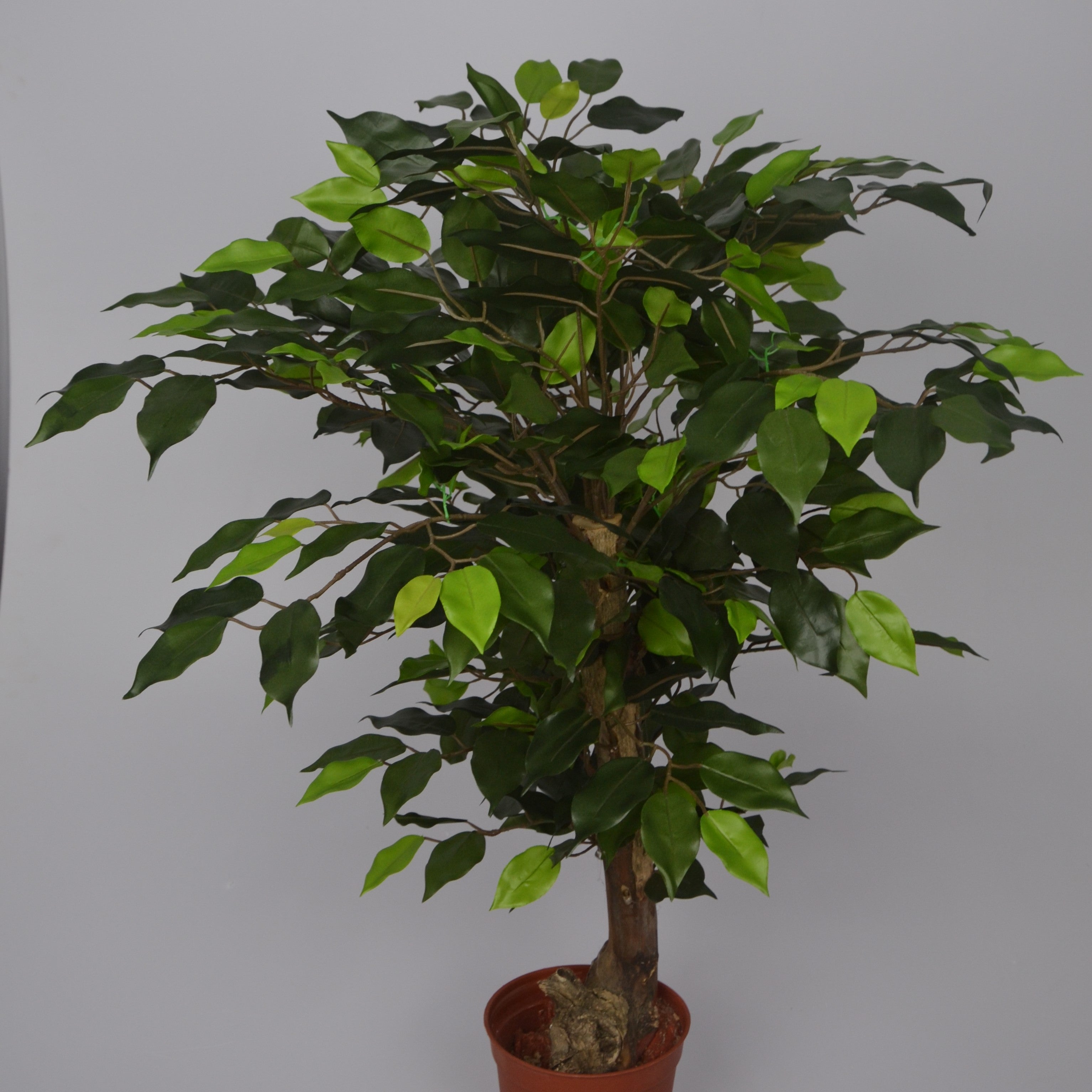 2 Ft Artificial Ficus Plant – Compact Faux Greenery with Realistic Leaves for Indoor Home, Office & Shelf Décor